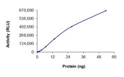 Sino Biological&nbsp;Recombinant Human Aurora B Protein (Full Length, GST Tag), Active